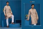 New Exclusive Festival special Mens wear Kurta Collection - Image 8