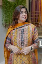 Regular Wear Dress - Image 3