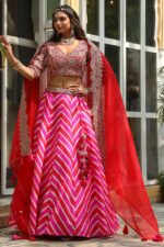 New launching Embroidery work Lahenga choli - Image 11