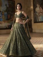 Designer Partywear Lahenga - Image 2