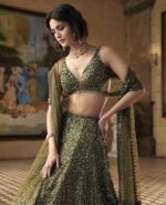 Designer Partywear Lahenga