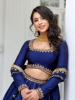 Presenting New Premium Quality Heavy Sequence Embroidery work Lahenga choli collection - Image 3