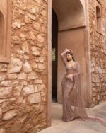 Presenting New Heavy Embroidery work Designer saree collection - Image 6