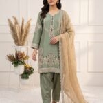 Presenting New Designer Heavy Embroidery work Top salwar with dupatta set