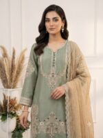 Presenting New Designer Heavy Embroidery work Top salwar with dupatta set - Image 3