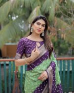 Presenting New Designer Trending Bhandhej printed saree collection - Image 13