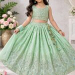 Presenting New Designer Trending Designer Lahenga choli collection for girls wear